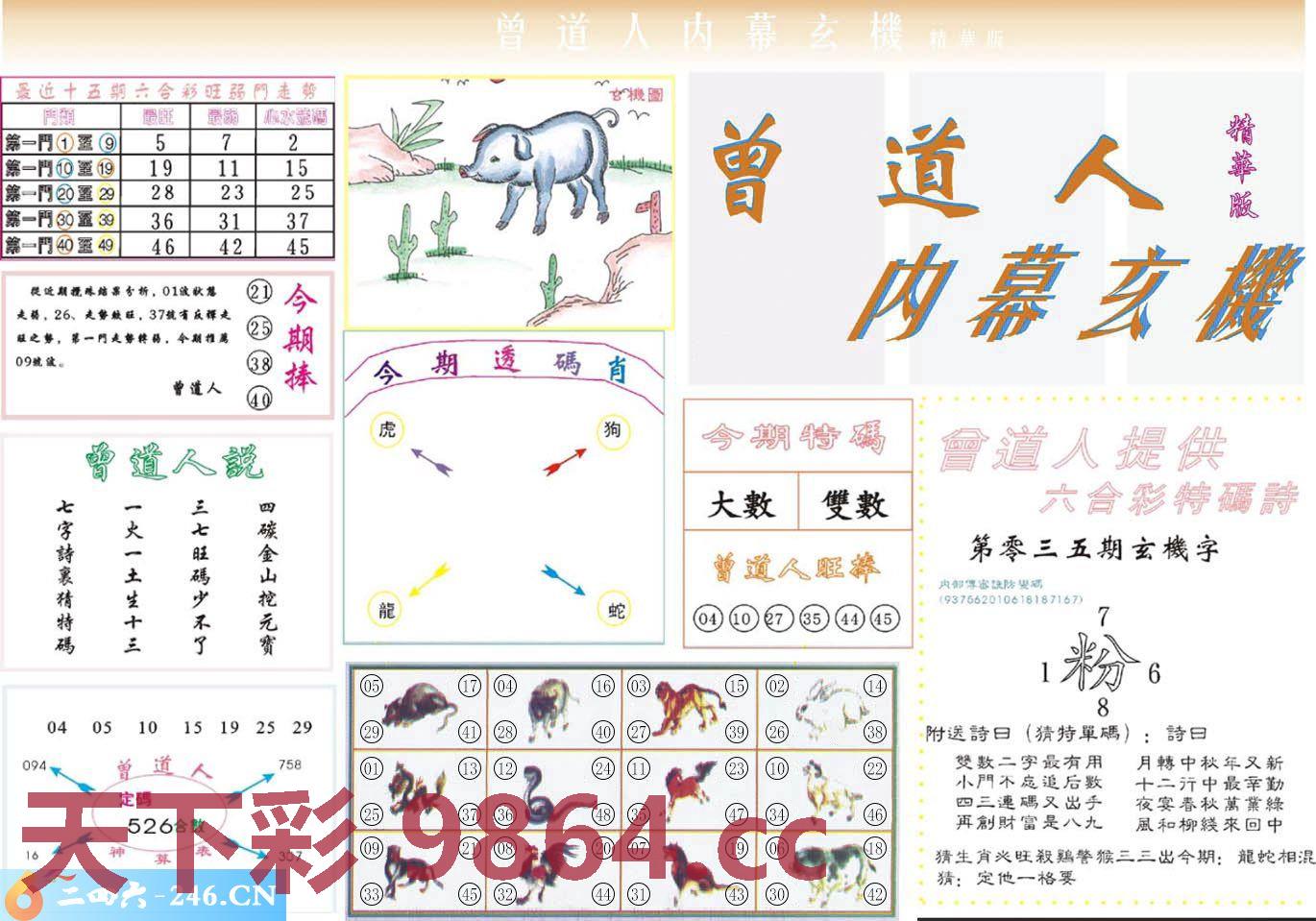 ：曾道人内幕精华版